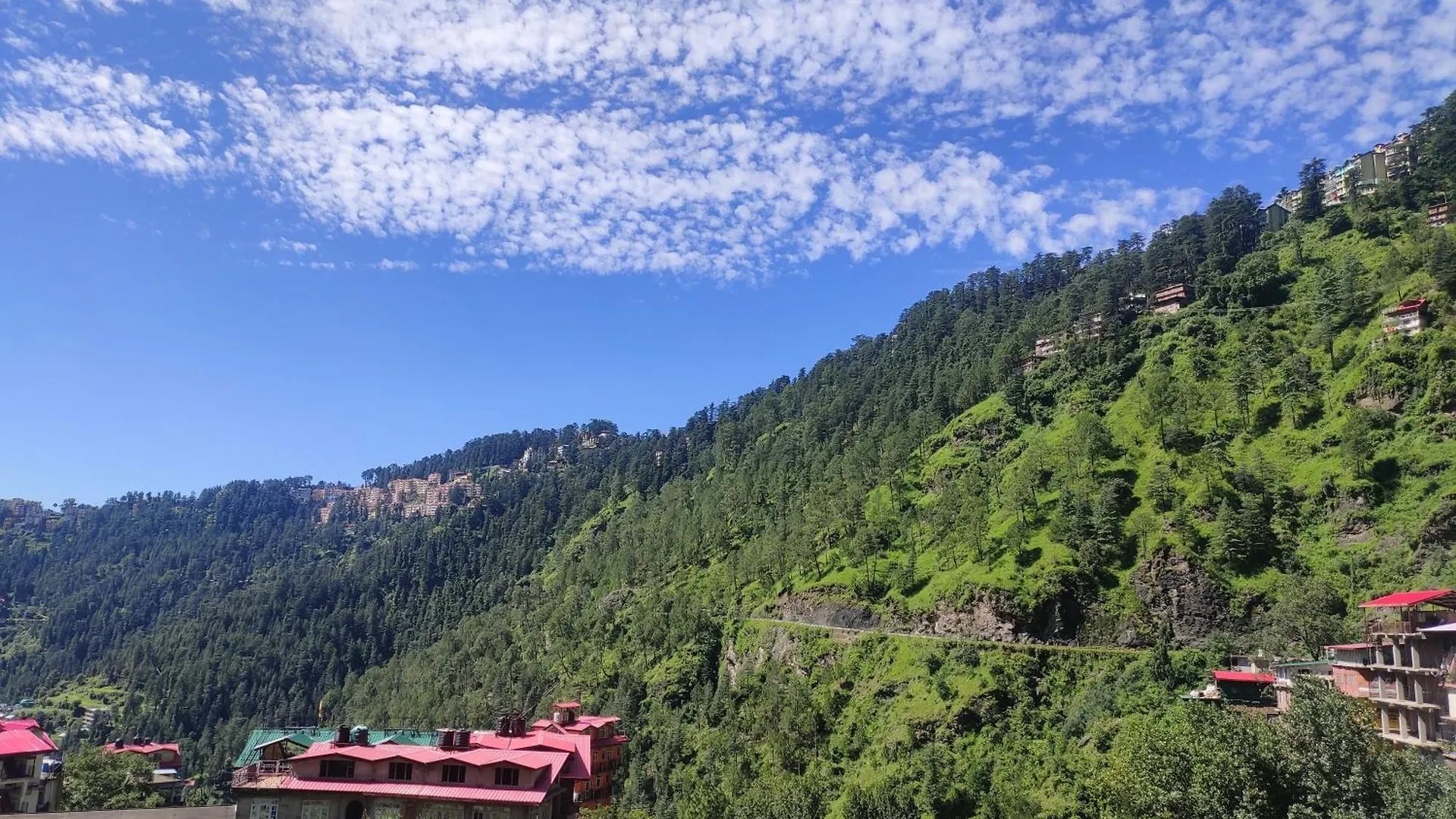 Gursimrat Homestay Shimla